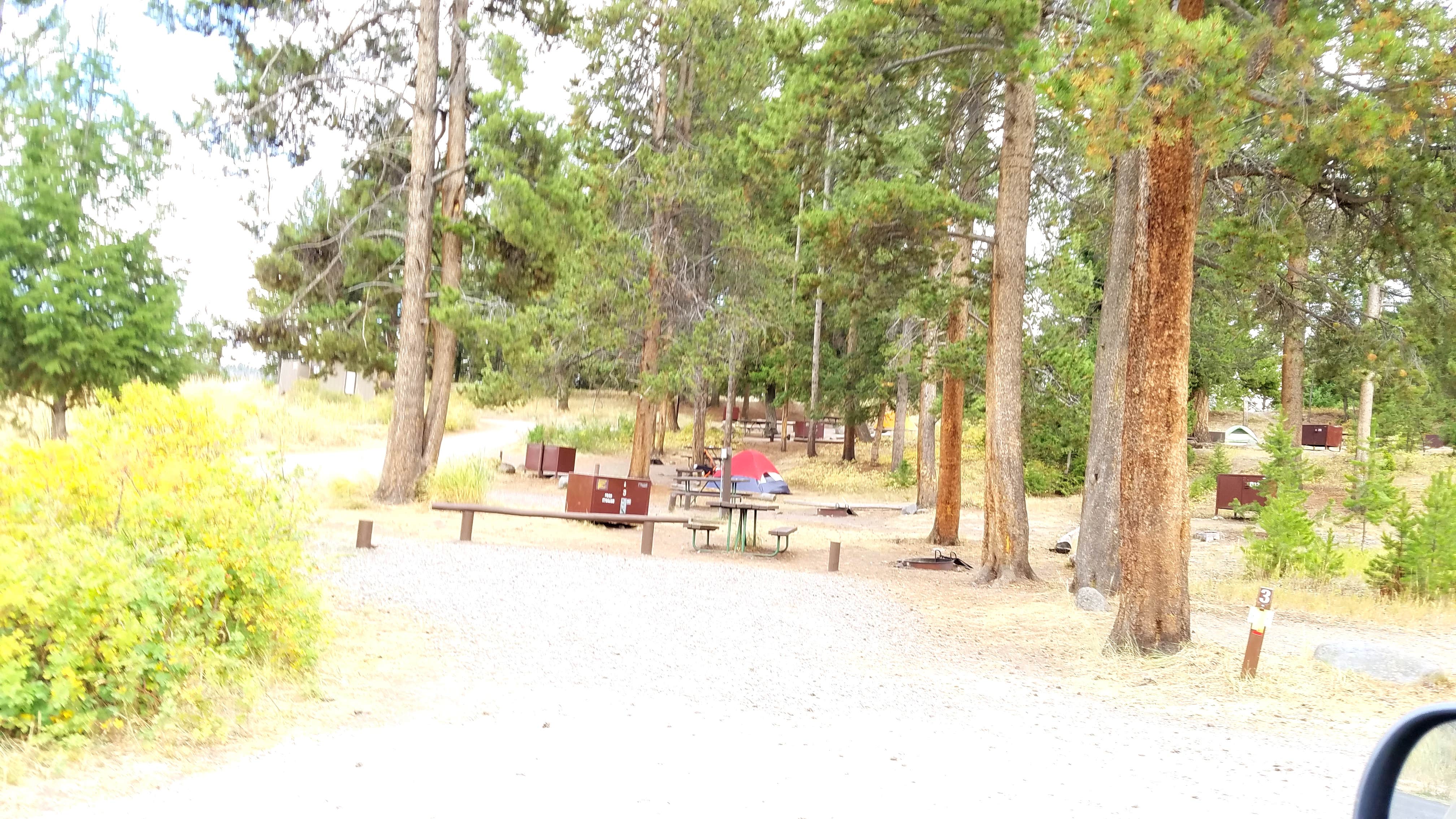 Camper submitted image from Tower Fall Campground — Yellowstone National Park - 4