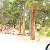 Review photo of Tower Fall Campground — Yellowstone National Park by Michael J., July 31, 2018