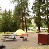 Review photo of Tower Fall Campground — Yellowstone National Park by Michael J., July 31, 2018