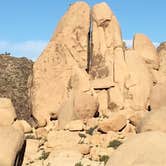 Review photo of Jumbo Rocks Campground — Joshua Tree National Park by Chris K., July 31, 2018