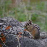 Review photo of Lewis Lake - Yellowstone National Park by Michael J., July 31, 2018