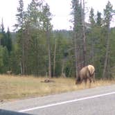 Review photo of Lewis Lake - Yellowstone National Park by Michael J., July 31, 2018