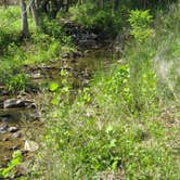Review photo of Cades Cove Campground by Megan B., July 29, 2016