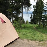 Review photo of Bridge Bay Campground — Yellowstone National Park by Amy L., July 31, 2018