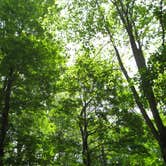 Review photo of Cades Cove Campground by Megan B., July 29, 2016