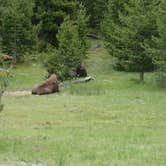 Review photo of Norris Campground — Yellowstone National Park - TEMPORARILY CLOSED by Michael J., July 31, 2018