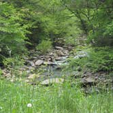 Review photo of Cades Cove Campground by Megan B., July 29, 2016