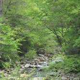 Review photo of Cades Cove Campground by Megan B., July 29, 2016