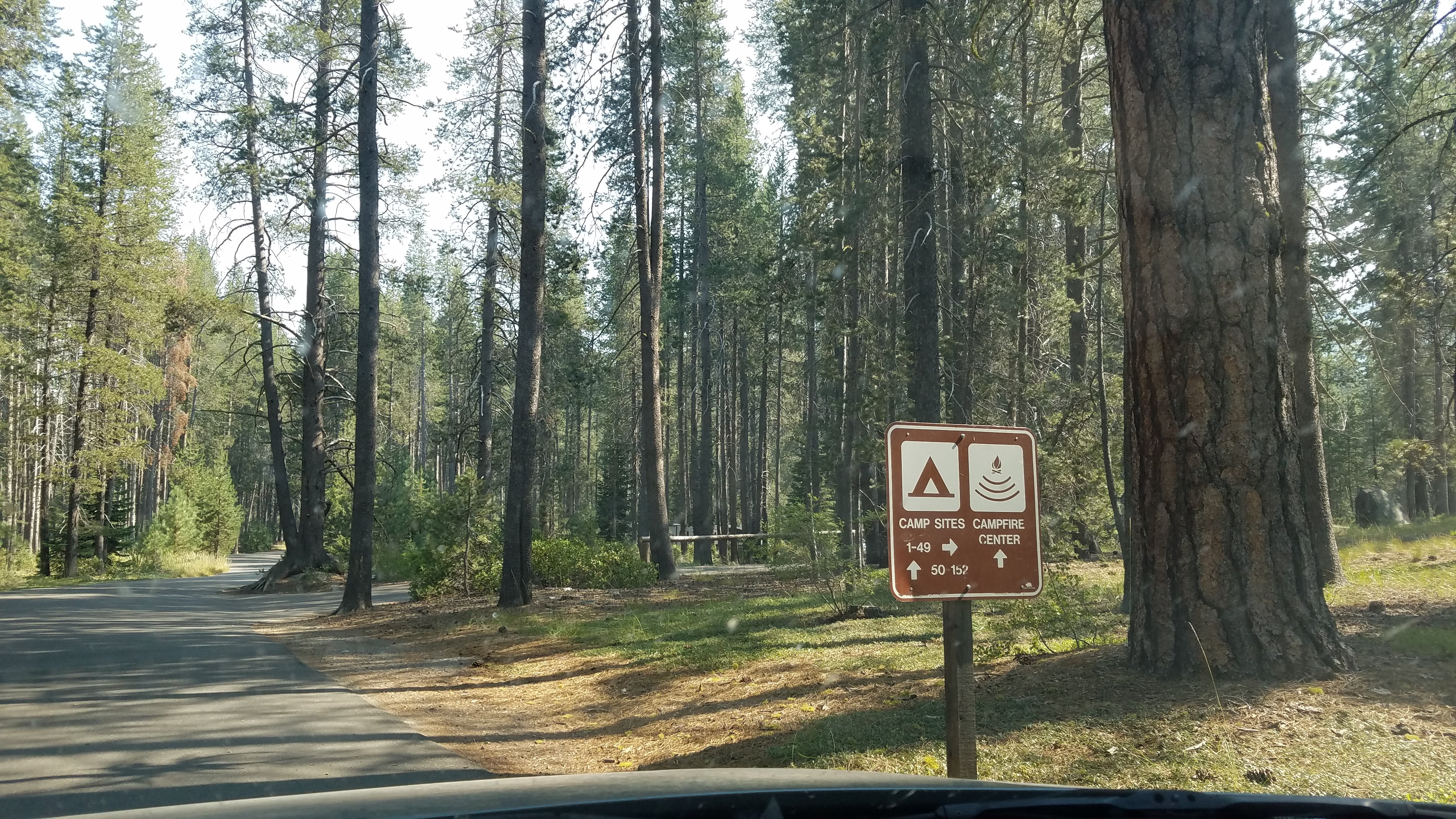 Camper submitted image from Donner Memorial State Park Campground - 4