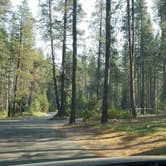 Review photo of Donner Memorial State Park Campground by Michael J., July 31, 2018