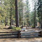 Review photo of Donner Memorial State Park Campground by Michael J., July 31, 2018