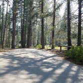 Review photo of Donner Memorial State Park Campground by Michael J., July 31, 2018