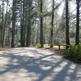 Review photo of Donner Memorial State Park Campground by Michael J., July 31, 2018