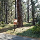 Review photo of Donner Memorial State Park Campground by Michael J., July 31, 2018