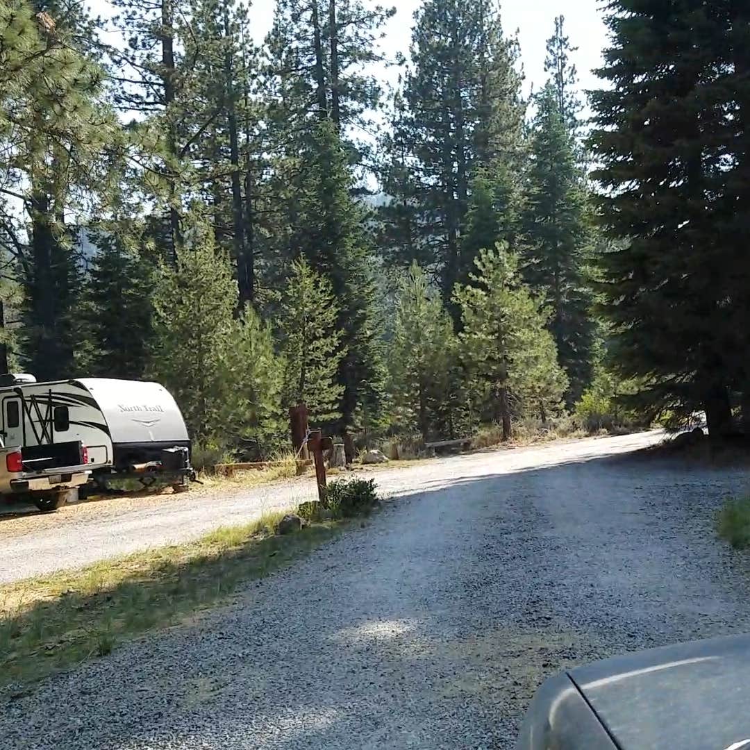 Goose Meadows Camping The Dyrt