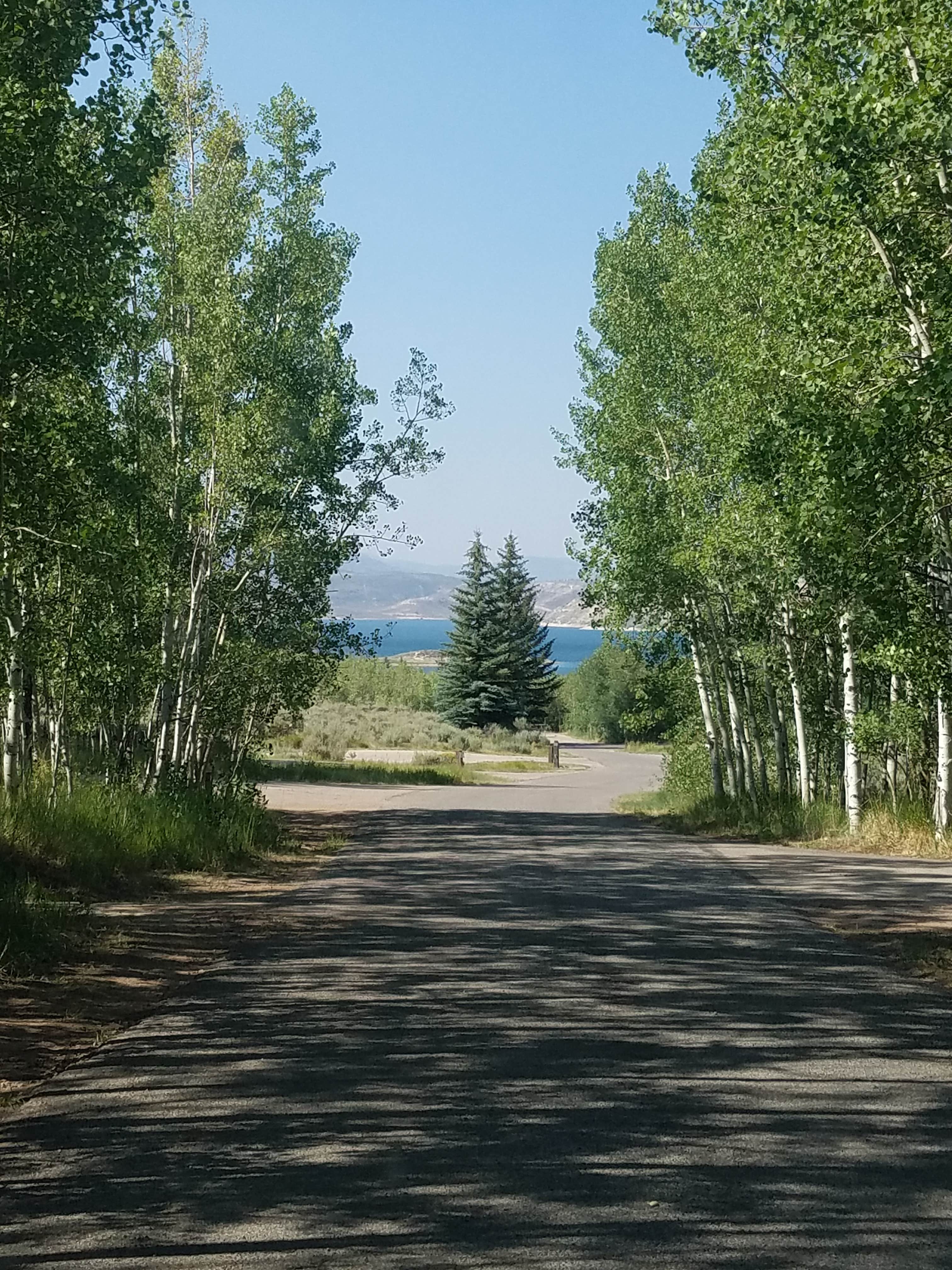 Camper submitted image from Aspen Grove (uinta-wasatch-cache National Forest, Ut) - 5