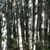 Review photo of Aspen Grove (uinta-wasatch-cache National Forest, Ut) by Alan B., July 31, 2018