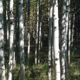 Review photo of Aspen Grove (uinta-wasatch-cache National Forest, Ut) by Alan B., July 31, 2018