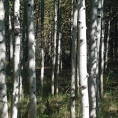 Review photo of Aspen Grove (uinta-wasatch-cache National Forest, Ut) by Alan B., July 31, 2018