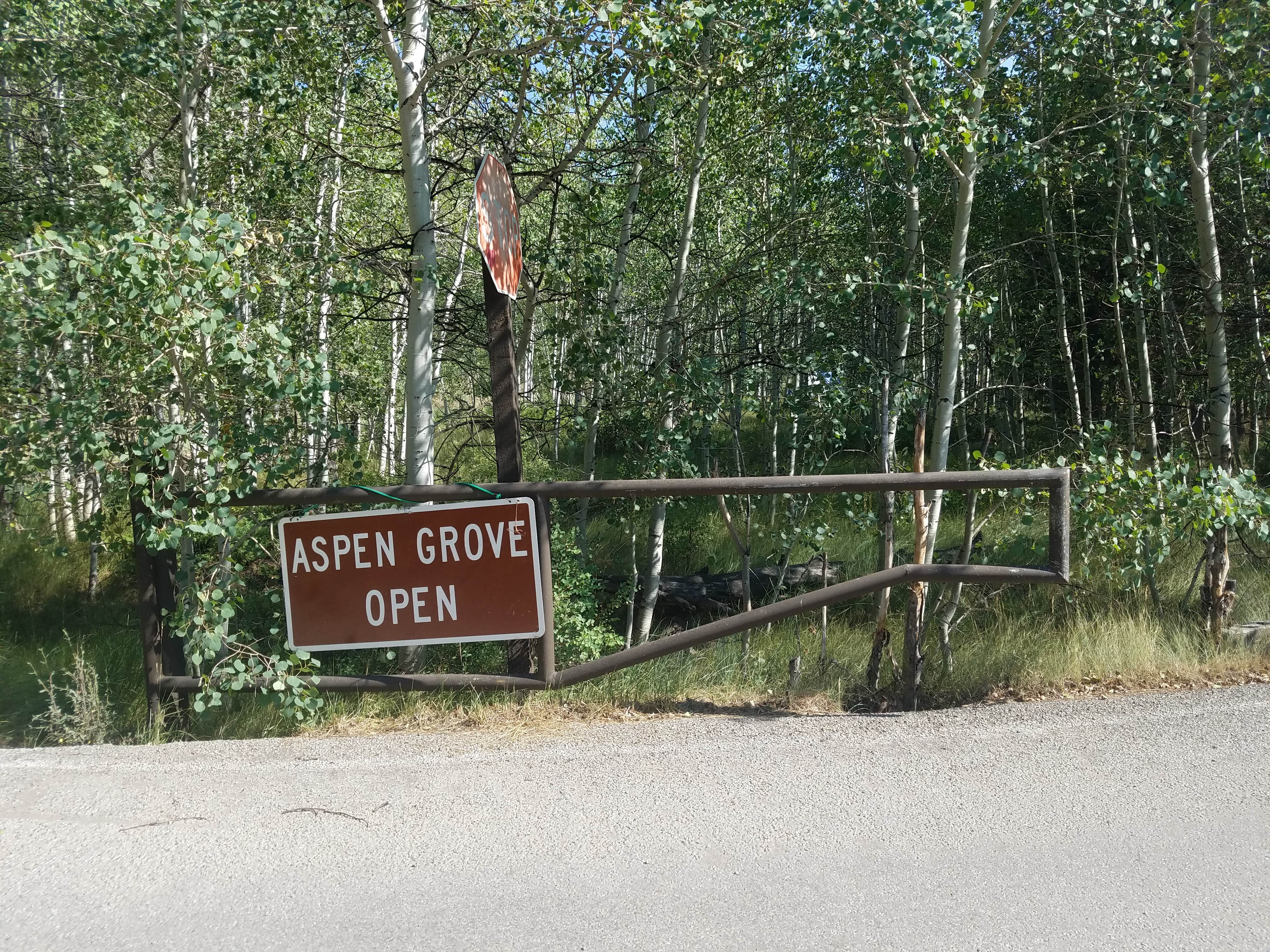 Camper-submitted photo at Aspen Grove (uinta-wasatch-cache National Forest, Ut) near Fruitland, UT