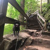 Review photo of Cloudland Canyon State Park Campground by Shelly S., July 31, 2018