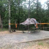 Review photo of Cloudland Canyon State Park Campground by Shelly S., July 31, 2018