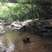 Review photo of Cloudland Canyon State Park Campground by Shelly S., July 31, 2018