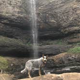 Review photo of Cloudland Canyon State Park Campground by Shelly S., July 31, 2018