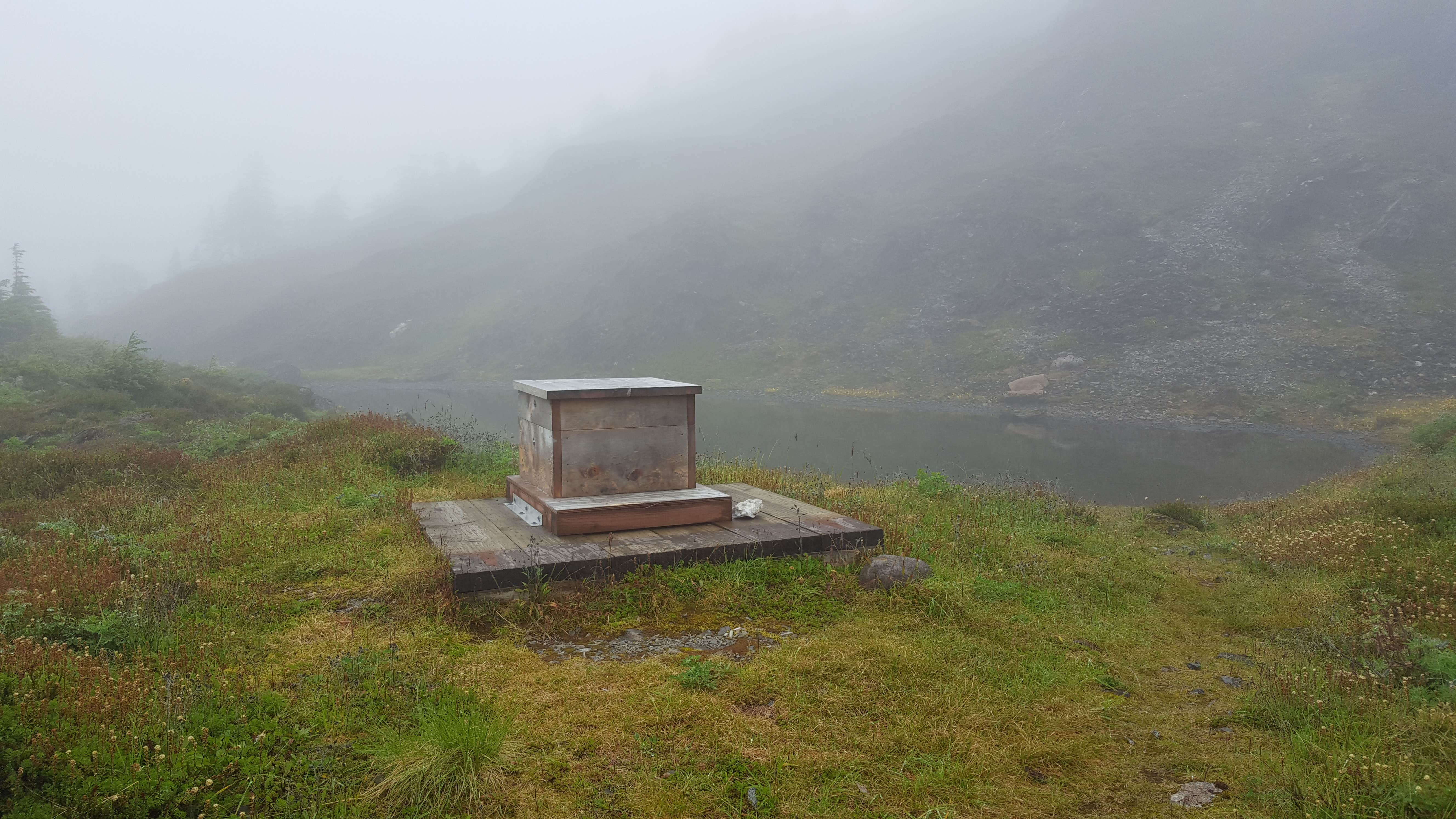 Camper-submitted photo at Deer Mountain Shelter - On The AT near Ketchikan, AK
