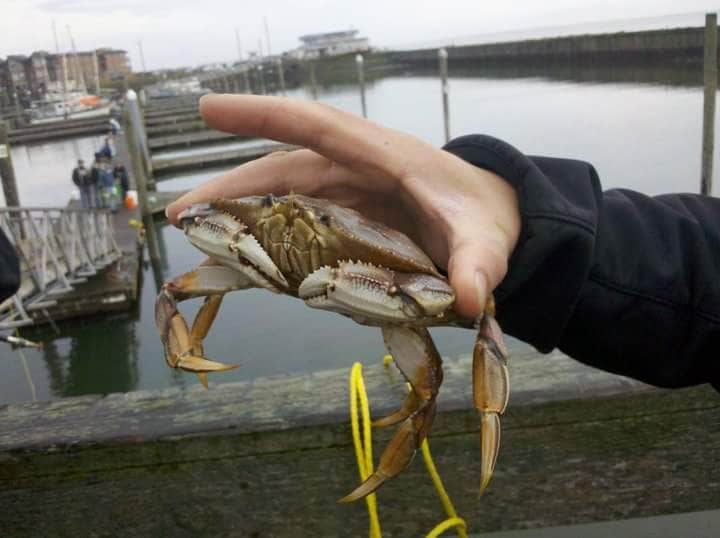 Camper-submitted photo at Westport Recreation Park near Westport, WA