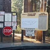 Review photo of William Kent Campground by Michael J., July 31, 2018
