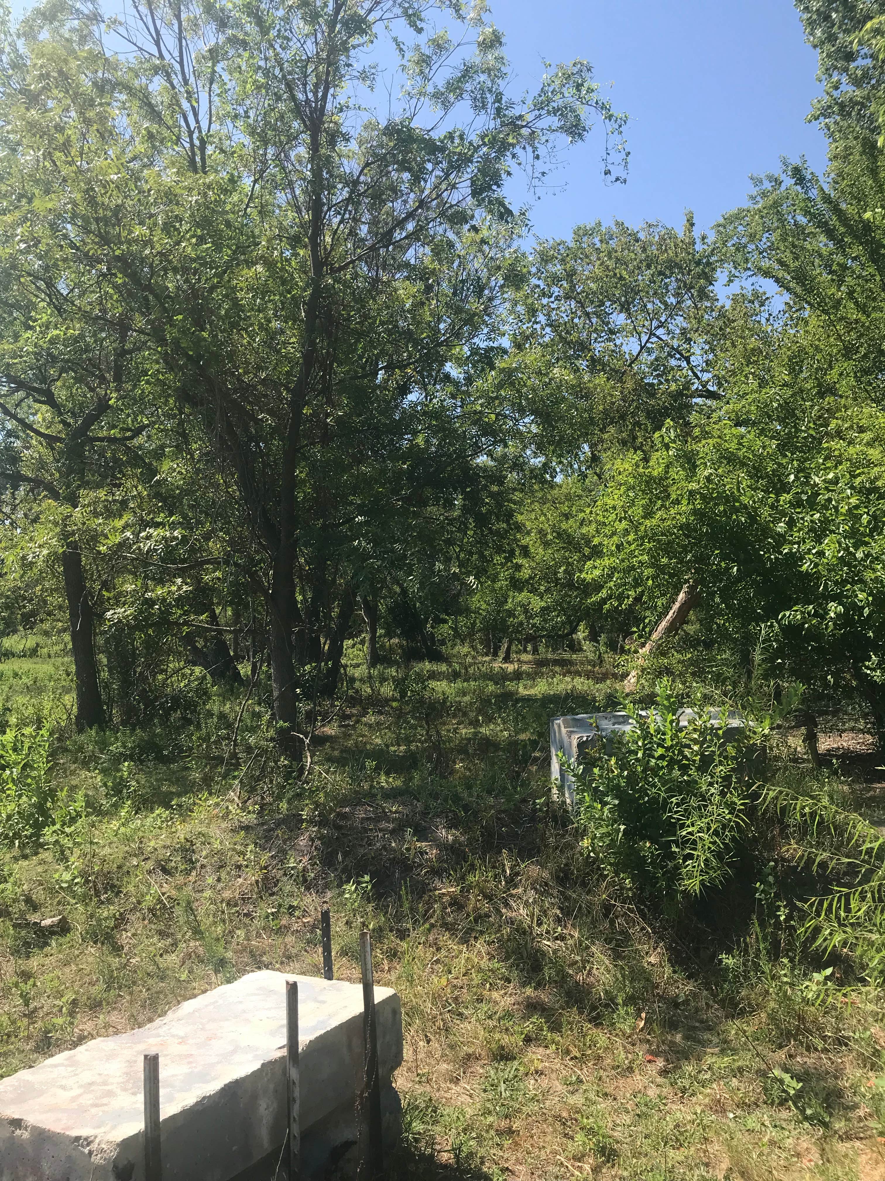 Camper-submitted photo at Black Creek Lake Recreation Area near Bridgeport, TX