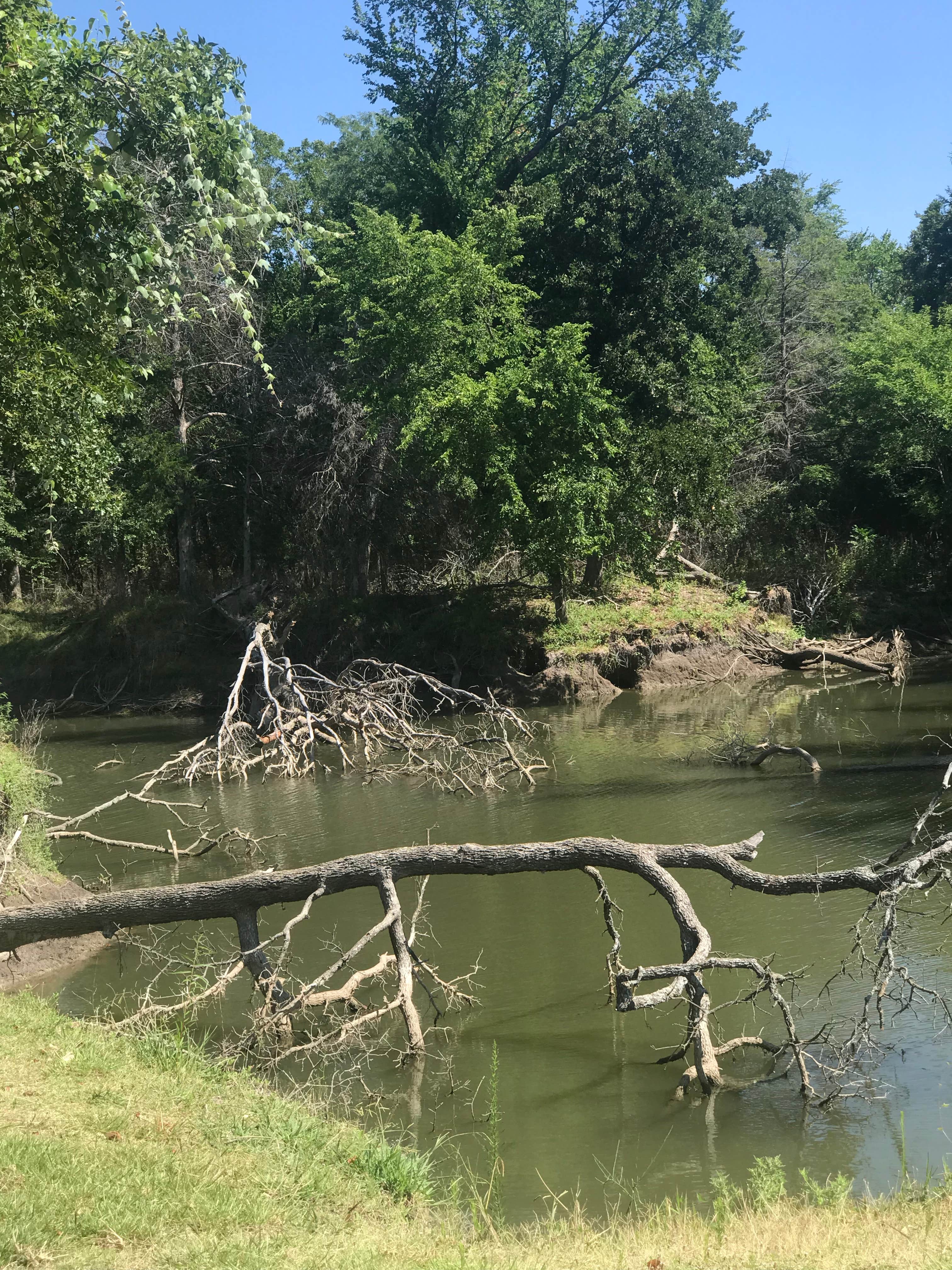 Camper submitted image from Black Creek Lake Recreation Area - 3