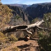 Review photo of North Rim Campground — Black Canyon of the Gunnison National Park by Crystal C., July 31, 2018