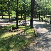 Review photo of Cloudland Canyon State Park Campground by Shelly S., July 31, 2018