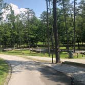 Review photo of Cloudland Canyon State Park Campground by Shelly S., July 31, 2018