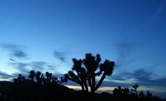 Roberto R.'s photo of a dispersed camping area at Joshua Tree South - BLM Dispersed near Joshua Tree National Park