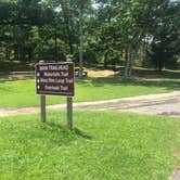 Review photo of Cloudland Canyon State Park Campground by Shelly S., July 31, 2018