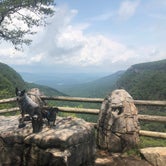 Review photo of Cloudland Canyon State Park - East Rim by Shelly S., July 31, 2018