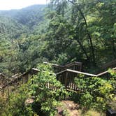Review photo of Cloudland Canyon State Park Campground by Shelly S., July 31, 2018