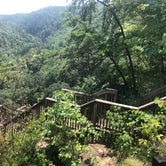 Review photo of Cloudland Canyon State Park - East Rim by Shelly S., July 31, 2018
