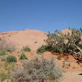 Review photo of Sand Flats Recreation Area by Michael J., July 31, 2018