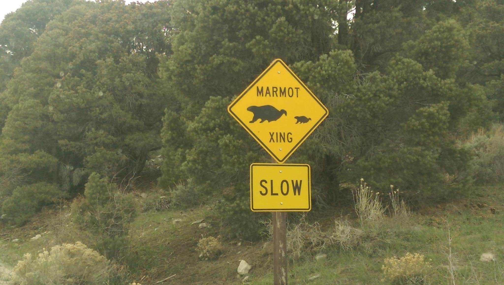 Camper-submitted photo at Baker Creek Campground — Great Basin National Park near Garrison, UT