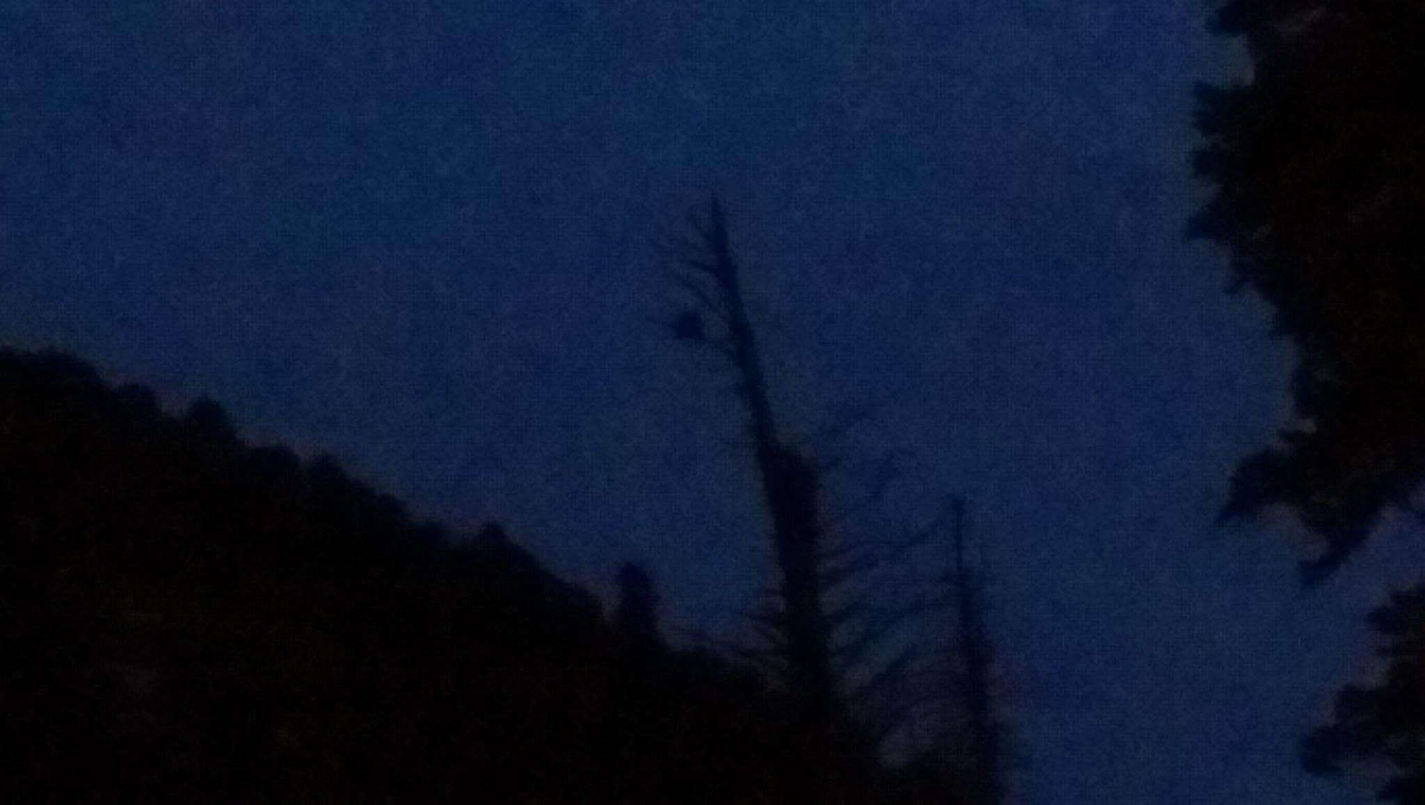 Camper-submitted photo at Baker Creek Campground — Great Basin National Park near Garrison, UT