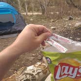 Review photo of Baker Creek Campground — Great Basin National Park by Michael J., July 31, 2018