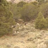 Review photo of Baker Creek Campground — Great Basin National Park by Michael J., July 31, 2018