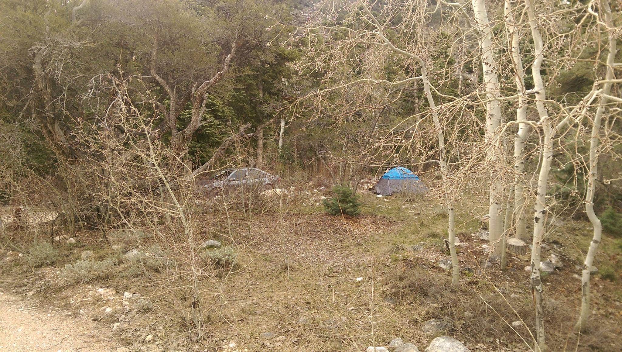Camper-submitted photo at Baker Creek Campground — Great Basin National Park near Garrison, UT