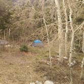 Review photo of Baker Creek Campground — Great Basin National Park by Michael J., July 31, 2018