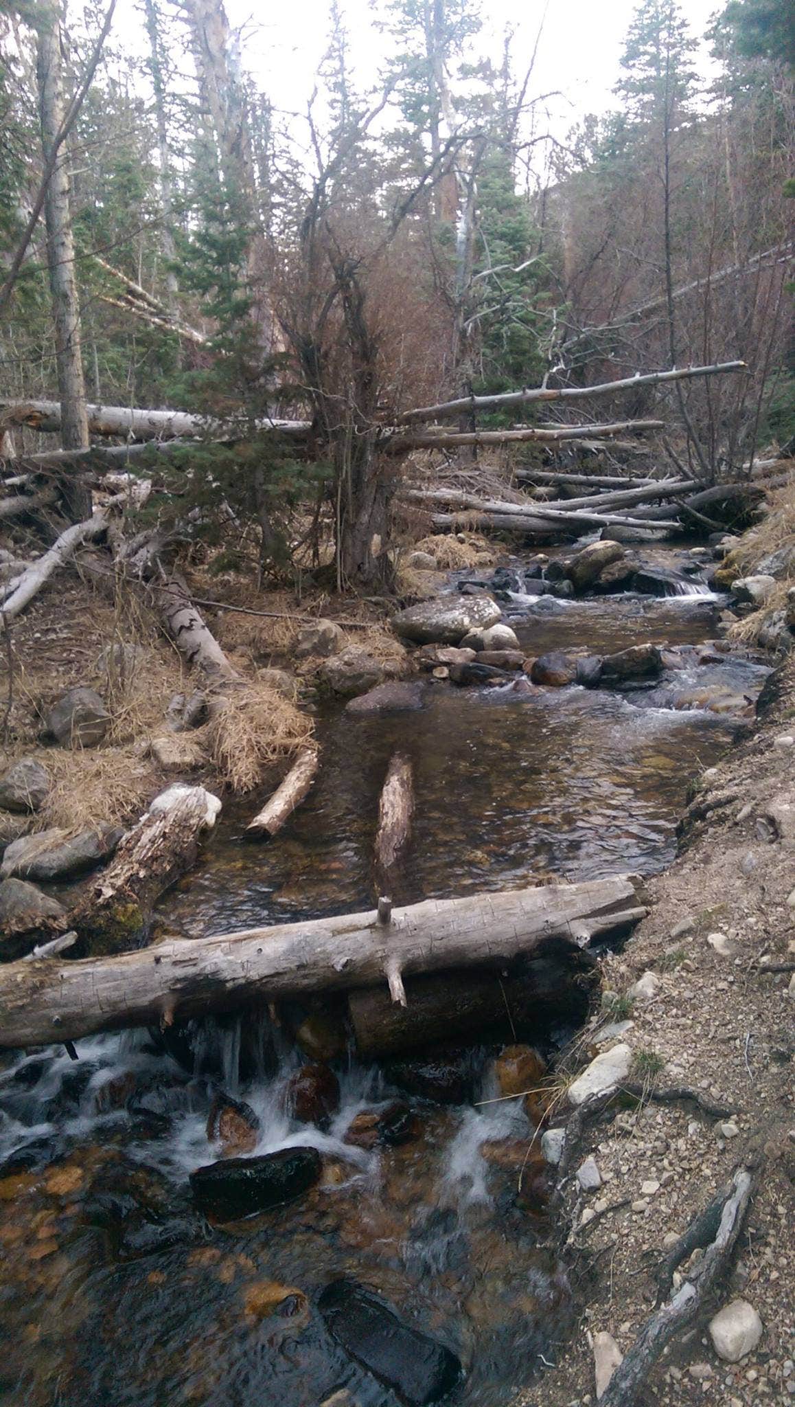 Baker Creek Campground — Great Basin National Park