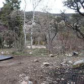 Review photo of Baker Creek Campground — Great Basin National Park by Michael J., July 31, 2018